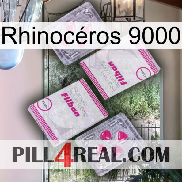 Rhinocéros 9000 33.jpg